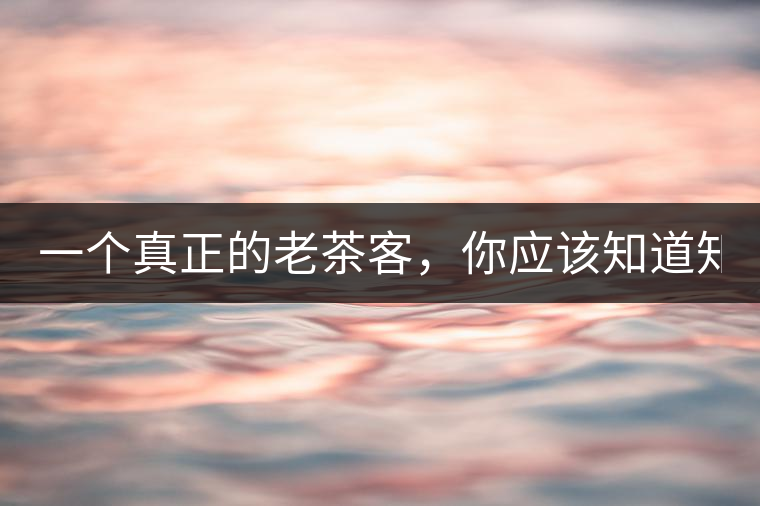 一個(gè)真正的老茶客，你應(yīng)該知道知識(shí)點(diǎn)！