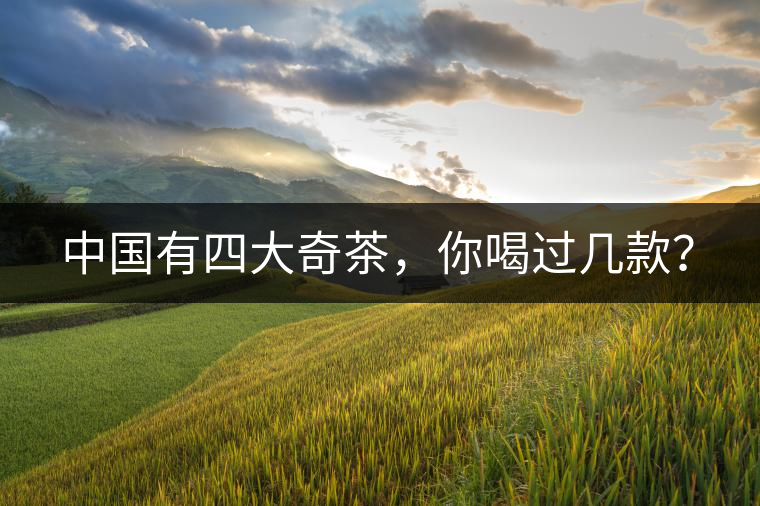 中國有四大奇茶，你喝過幾款？