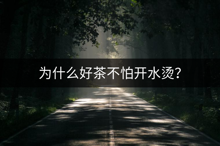 為什么好茶不怕開水燙？