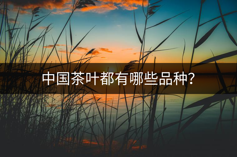 中國茶葉都有哪些品種？