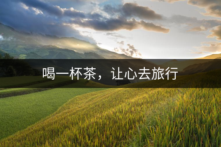 喝一杯茶，讓心去旅行