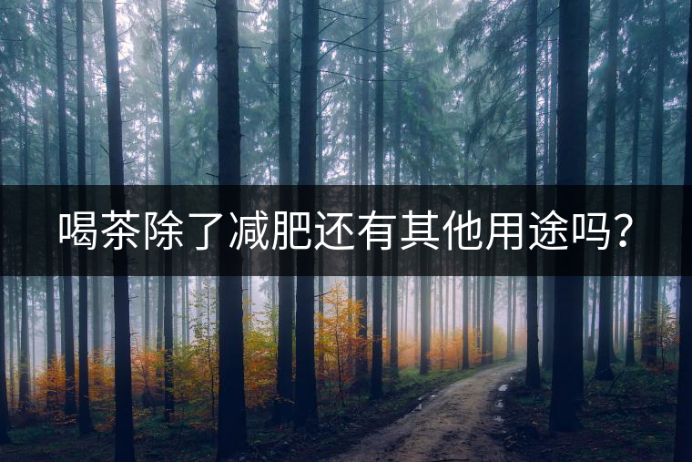 喝茶除了減肥還有其他用途嗎？