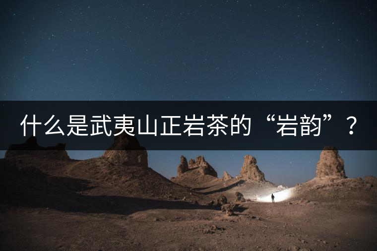 什么是武夷山正巖茶的“巖韻”？