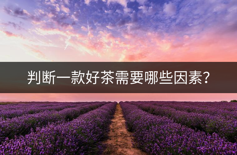 判斷一款好茶需要哪些因素？