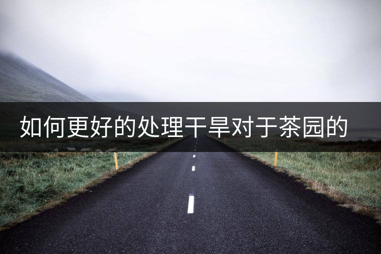 如何更好的處理干旱對(duì)于茶園的影響？