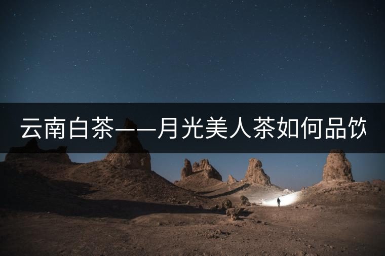 云南白茶——月光美人茶如何品飲？