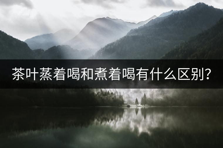 茶葉蒸著喝和煮著喝有什么區(qū)別？