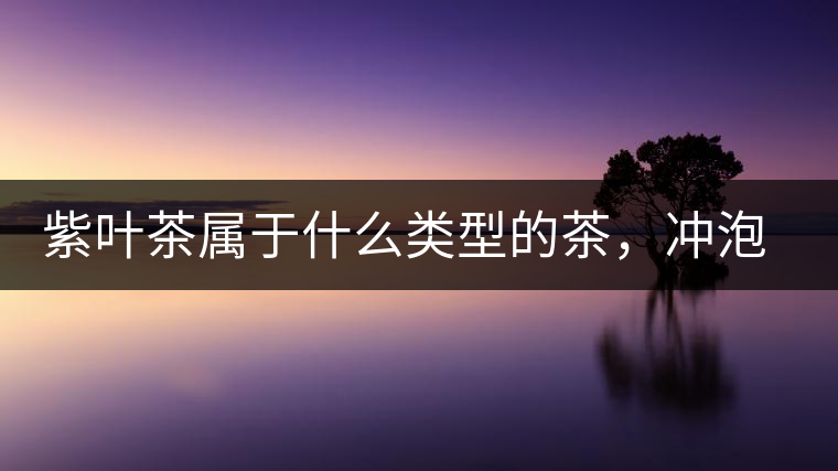 紫葉茶屬于什么類型的茶，沖泡需要注意什么？