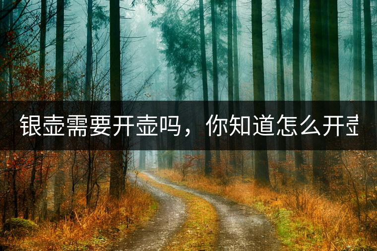 銀壺需要開壺嗎，你知道怎么開壺？