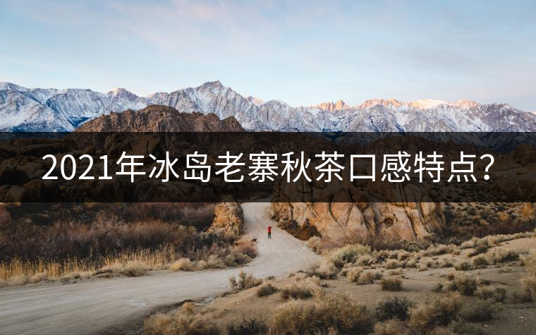 2021年冰島老寨秋茶口感特點(diǎn)？