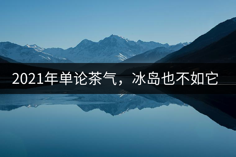 2021年單論茶氣，冰島也不如它-磨烈古樹(shù)秋