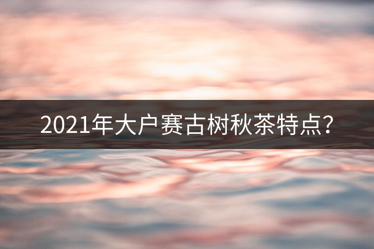 2021年大戶賽古樹(shù)秋茶特點(diǎn)？