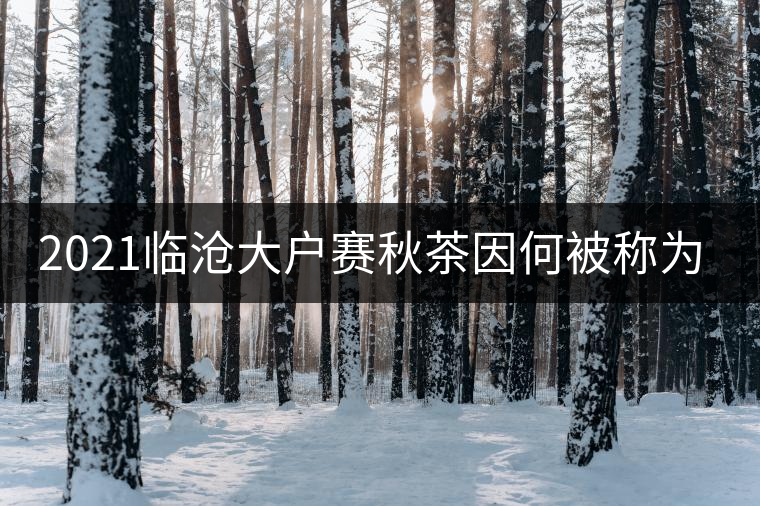 2021臨滄大戶賽秋茶因何被稱為潛力股？