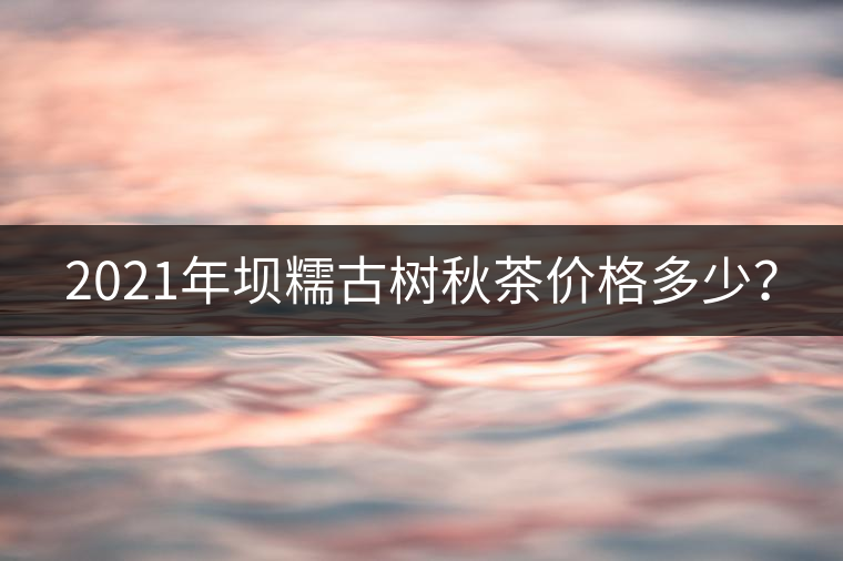 2021年壩糯古樹秋茶價格多少？
