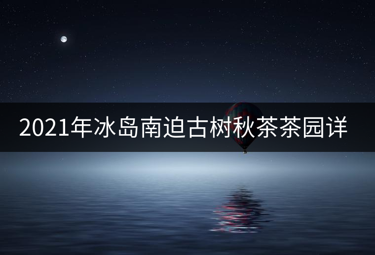 2021年冰島南迫古樹秋茶茶園詳解！
