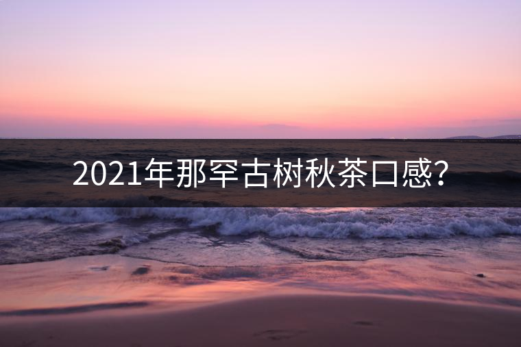 2021年那罕古樹(shù)秋茶口感？