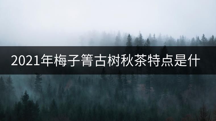 2021年梅子箐古樹秋茶特點是什么？