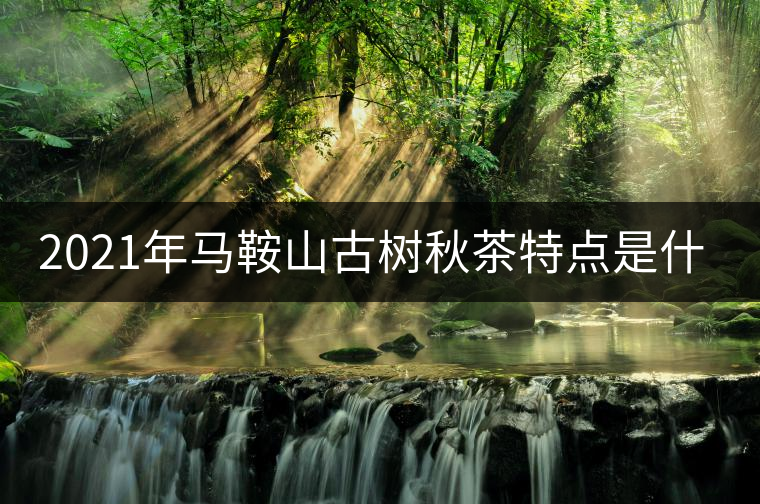 2021年馬鞍山古樹秋茶特點(diǎn)是什么？