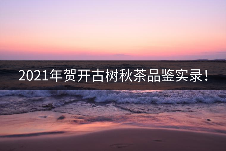 2021年賀開古樹秋茶品鑒實錄！