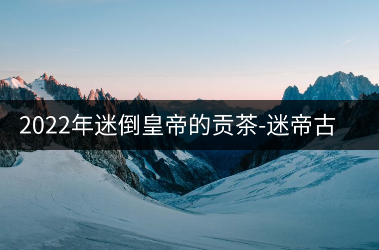 2022年迷倒皇帝的貢茶-迷帝古樹春茶特點？