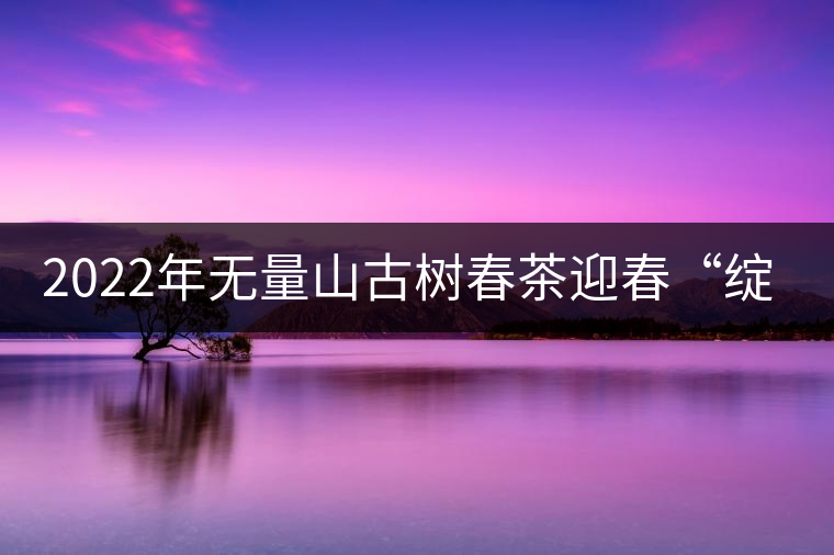 2022年無量山古樹春茶迎春“綻放”! 2022年無量山古樹春茶迎春“綻放”!