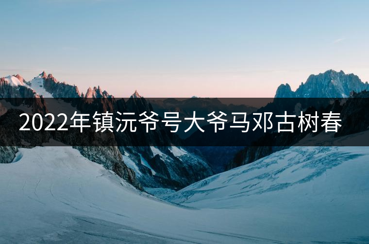 2022年鎮(zhèn)沅爺號(hào)大爺馬鄧古樹春茶特點(diǎn)？