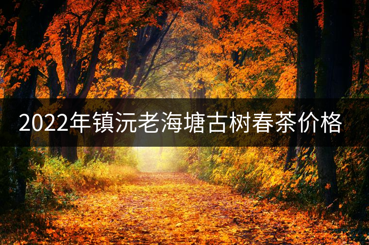 2022年鎮(zhèn)沅老海塘古樹春茶價格？