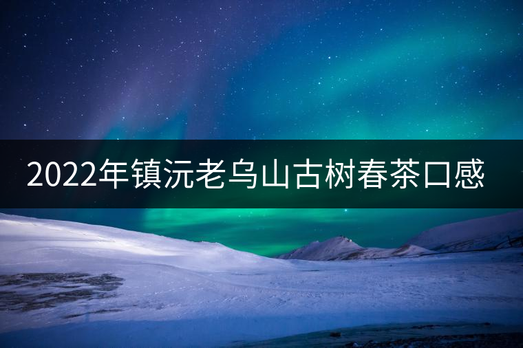 2022年鎮(zhèn)沅老烏山古樹春茶口感？