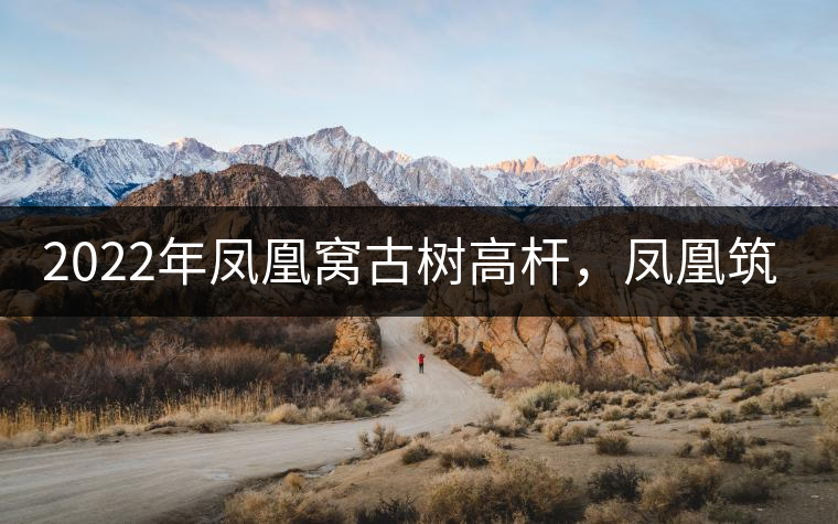 2022年鳳凰窩古樹高桿，鳳凰筑巢的地方