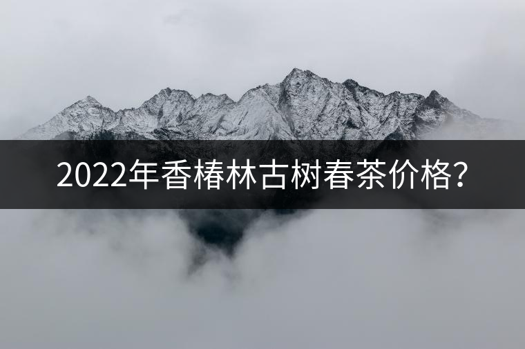 2022年香椿林古樹春茶價格？