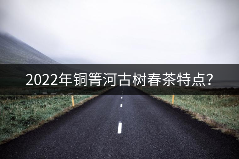 2022年銅箐河古樹春茶特點(diǎn)？