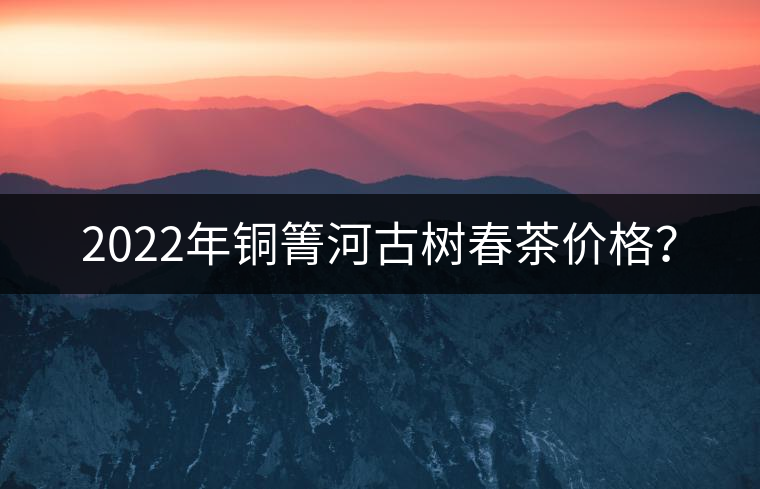 2022年銅箐河古樹春茶價(jià)格？