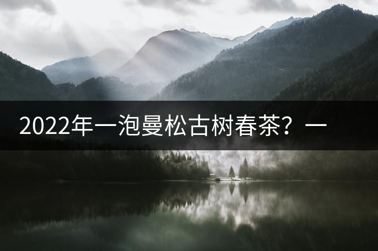 2022年一泡曼松古樹春茶？一飲帝王味……