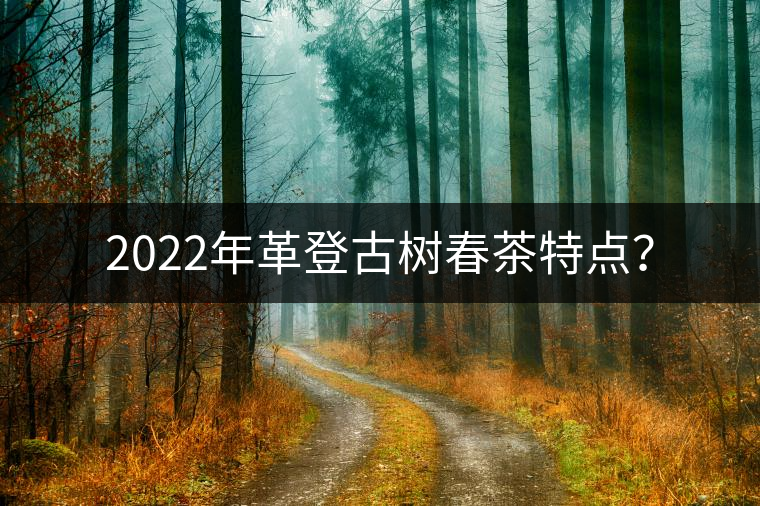 2022年革登古樹春茶特點？