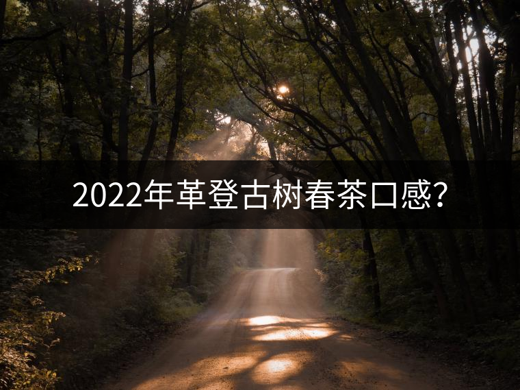 2022年革登古樹春茶口感？