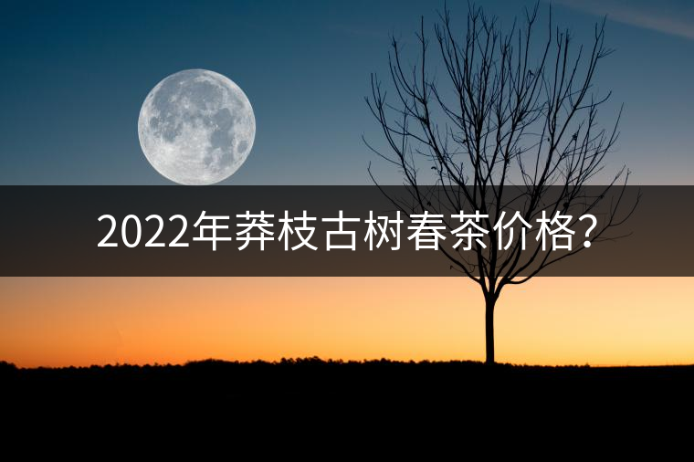 2022年莽枝古樹春茶價(jià)格？