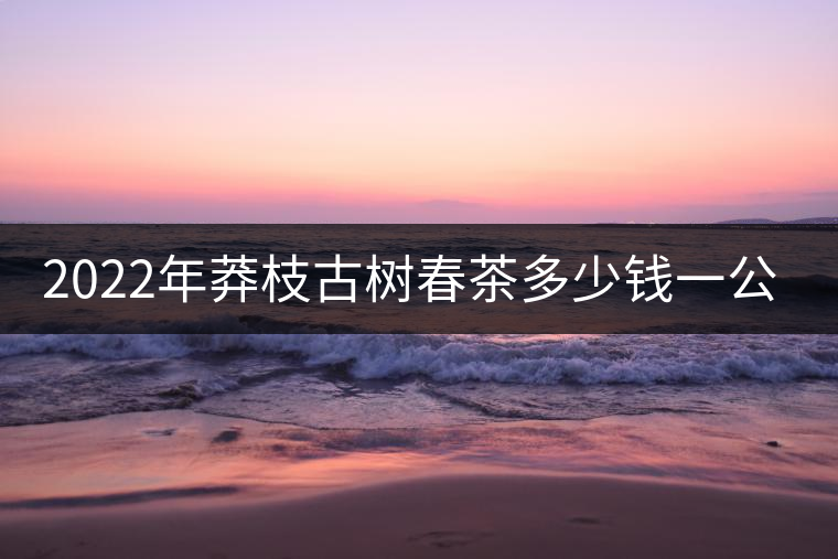 2022年莽枝古樹(shù)春茶多少錢(qián)一公斤？