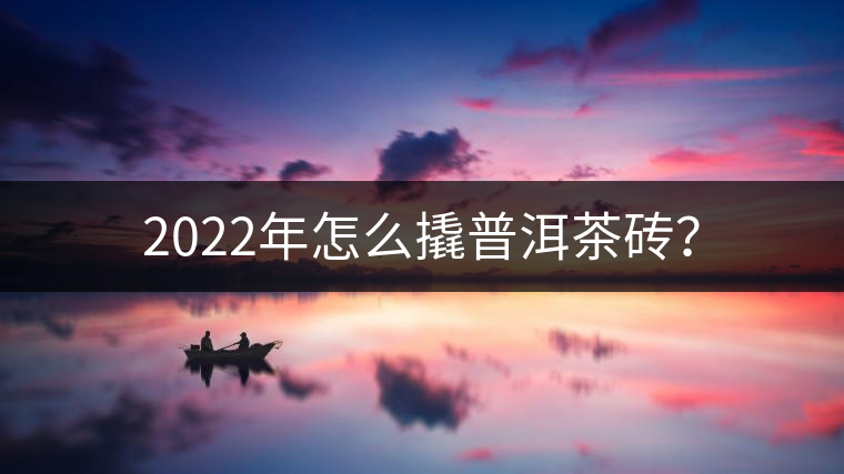 2022年怎么撬普洱茶磚？