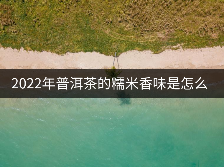 2022年普洱茶的糯米香味是怎么來的？