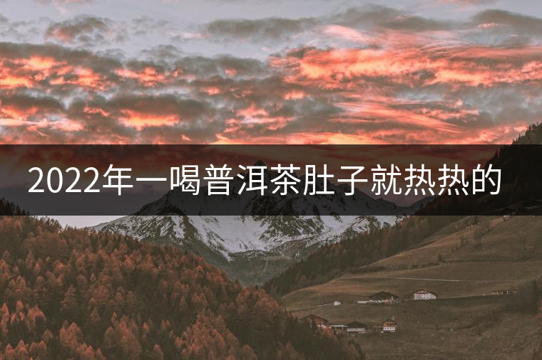 2022年一喝普洱茶肚子就熱熱的怎么回事？