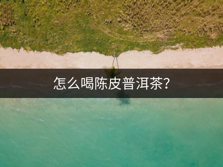 怎么喝陳皮普洱茶？
