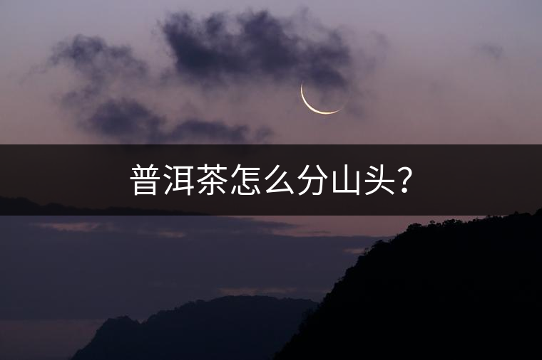 普洱茶怎么分山頭？