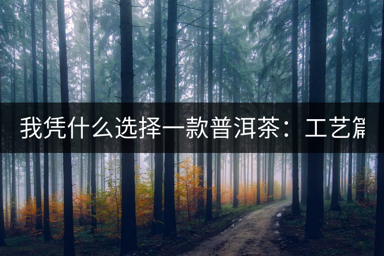 我憑什么選擇一款普洱茶：工藝篇？