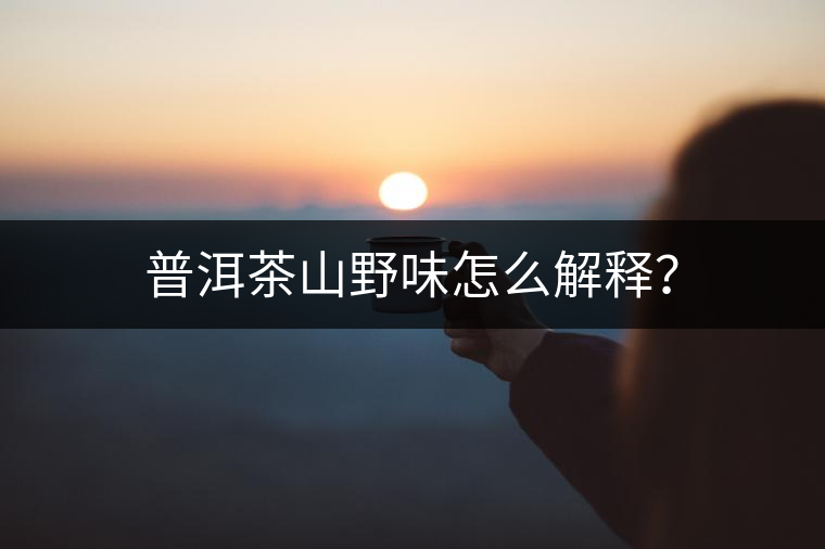 普洱茶山野味怎么解釋？