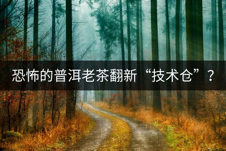 恐怖的普洱老茶翻新“技術(shù)倉”？