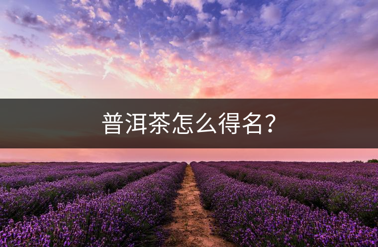 普洱茶怎么得名？