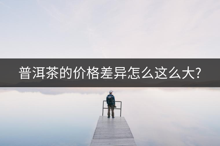 普洱茶的價(jià)格差異怎么這么大?