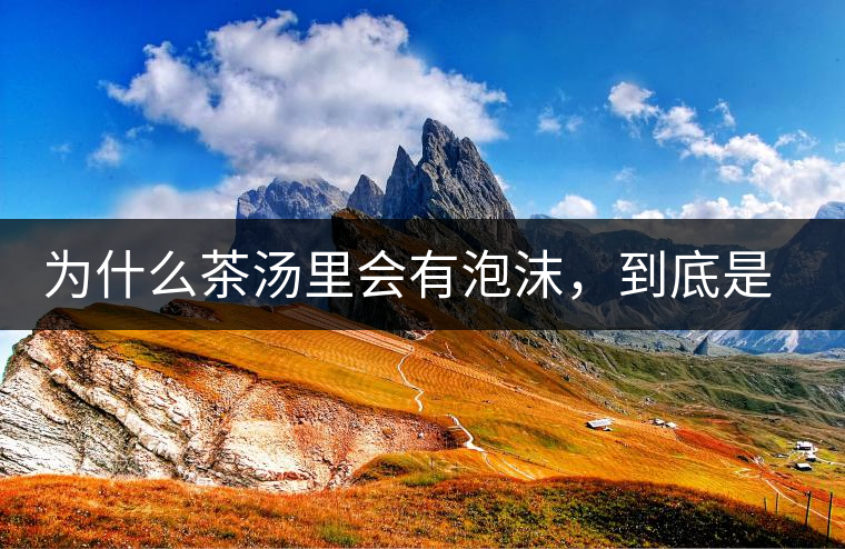 為什么茶湯里會有泡沫，到底是怎么回事？