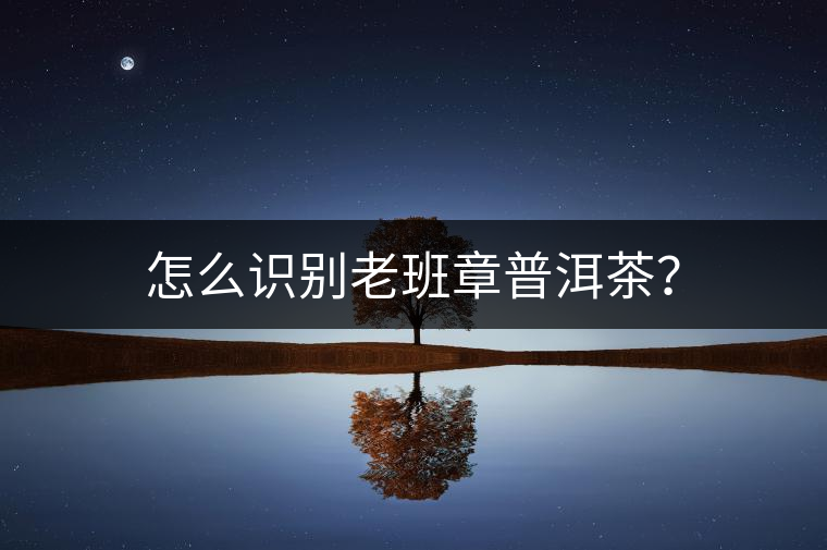 怎么識(shí)別老班章普洱茶？
