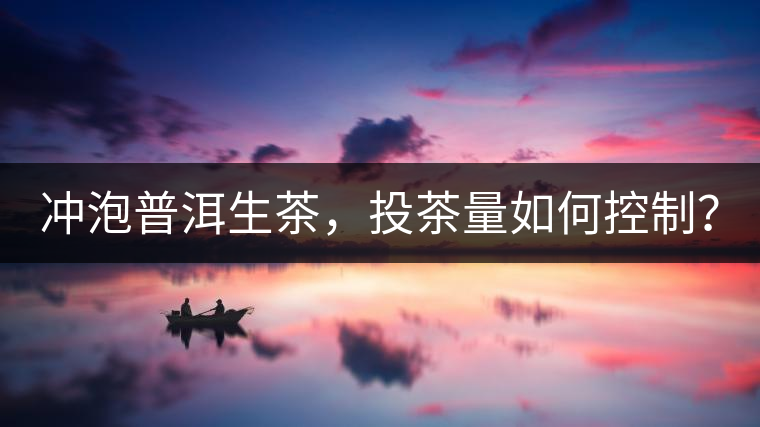沖泡普洱生茶，投茶量如何控制？